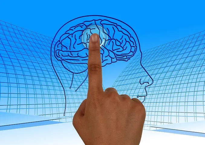 brain-770044__480.jpg