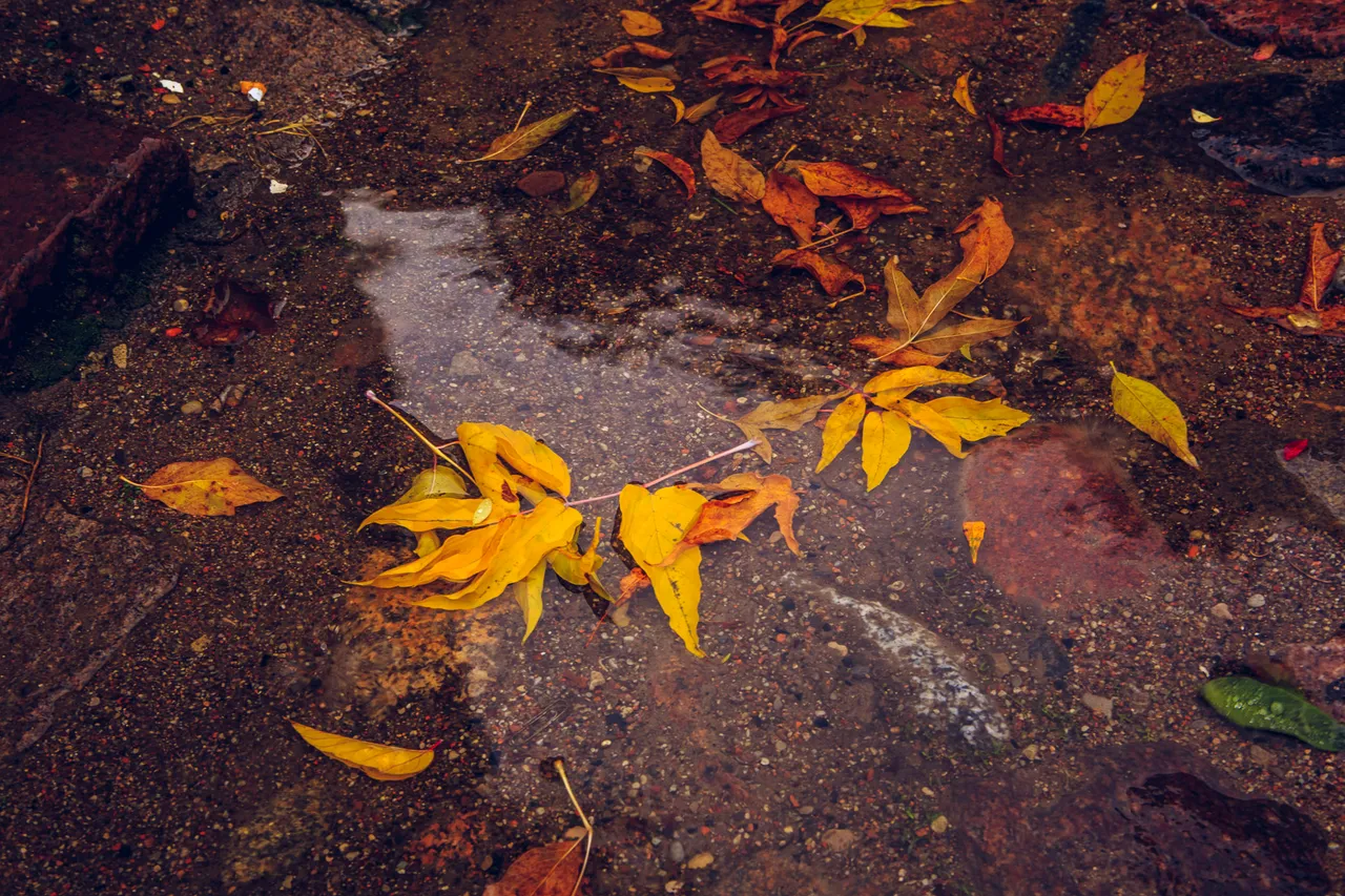 2015_11_08_110743.jpg