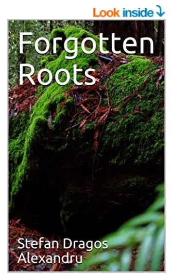 my book image.jpg