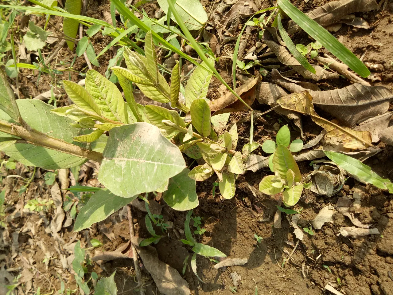 IMG20190930153839.jpg