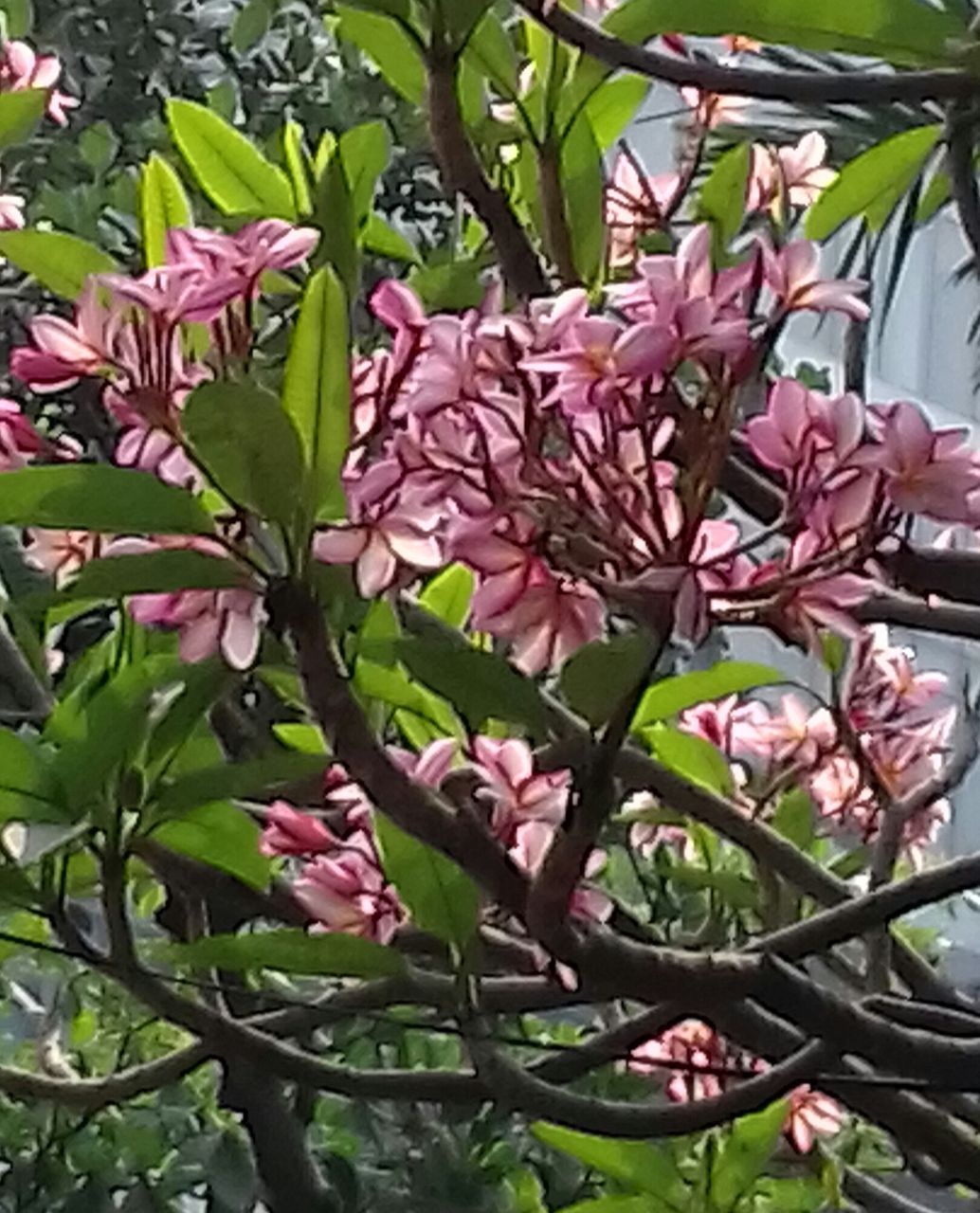 20180323_143041-1.jpg