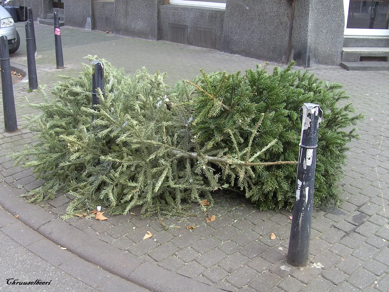 Weihnachtsbaum_08.jpg