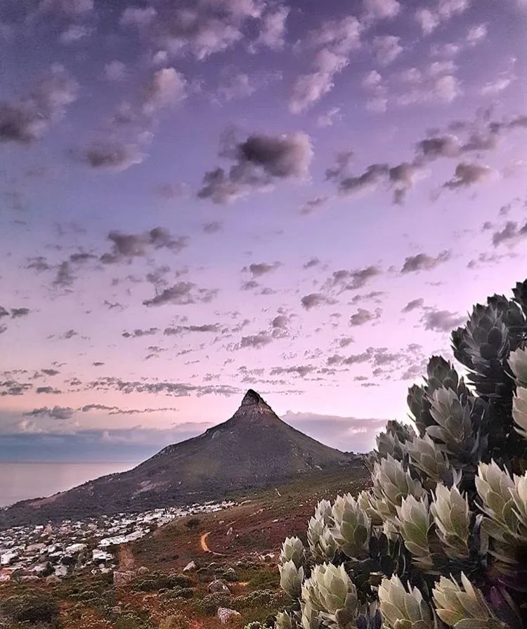 CT AFRICA PIC.jpg