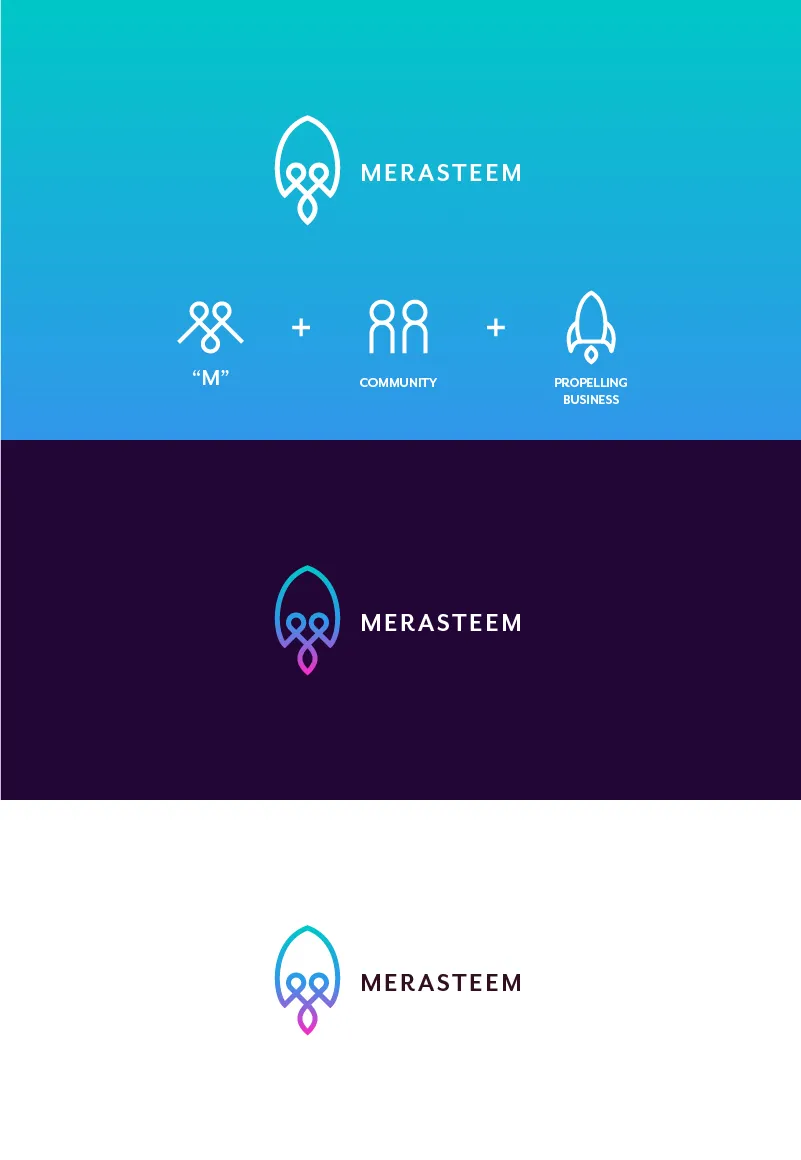 merasteem_logo_01.jpg