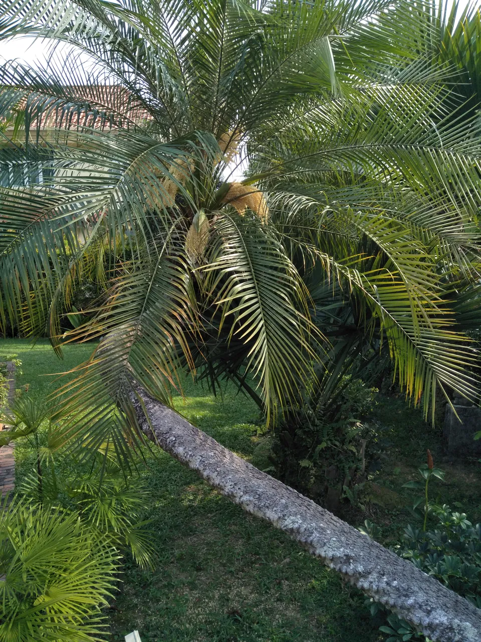 IMG20191019161116.jpg