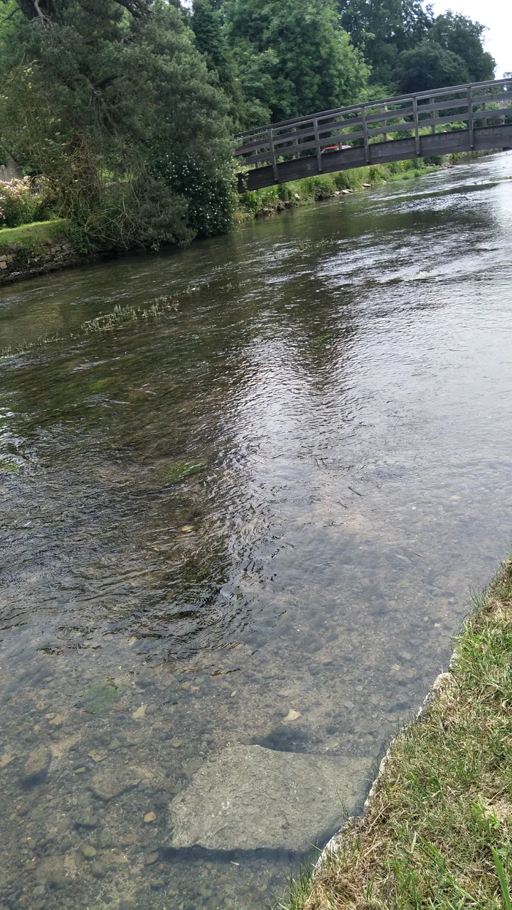 IMG20180613122617.jpg