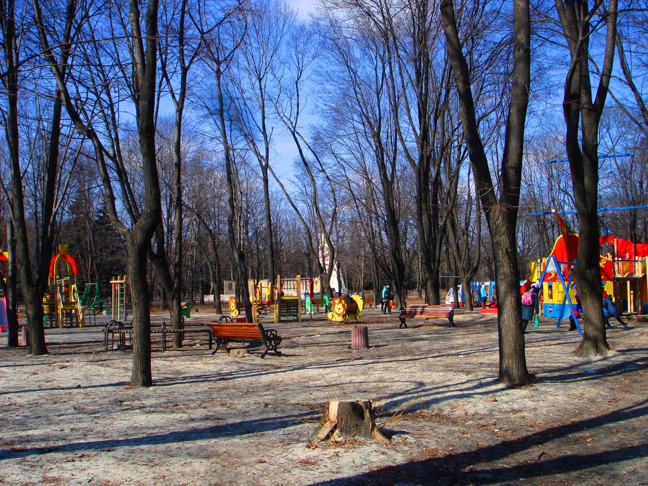 DSC01351-22222222.jpg