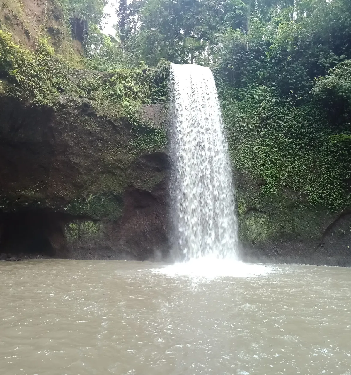 IMG20190325123519.jpg