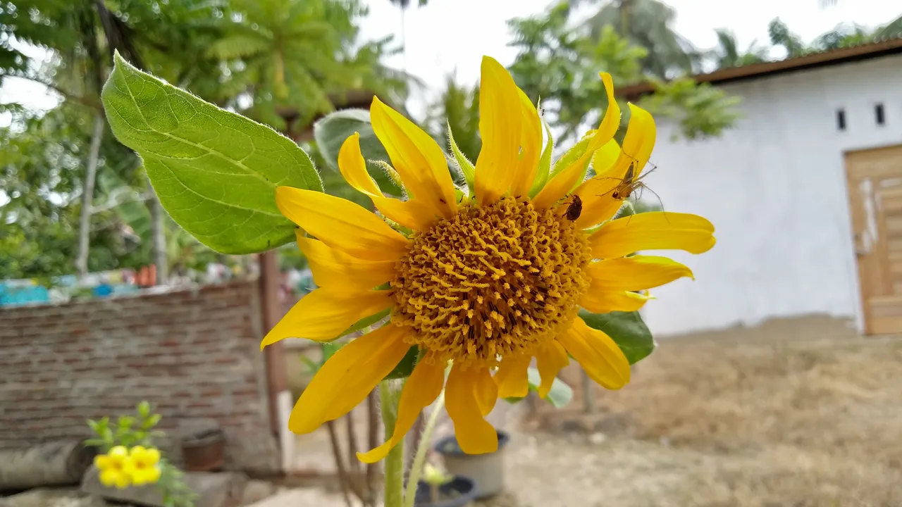 IMG20180619152636.jpg