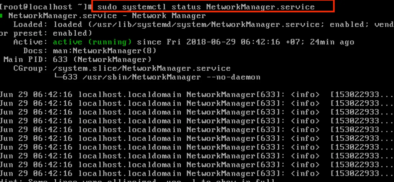network service.png