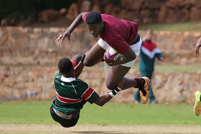 rugby-4773744_640.jpg