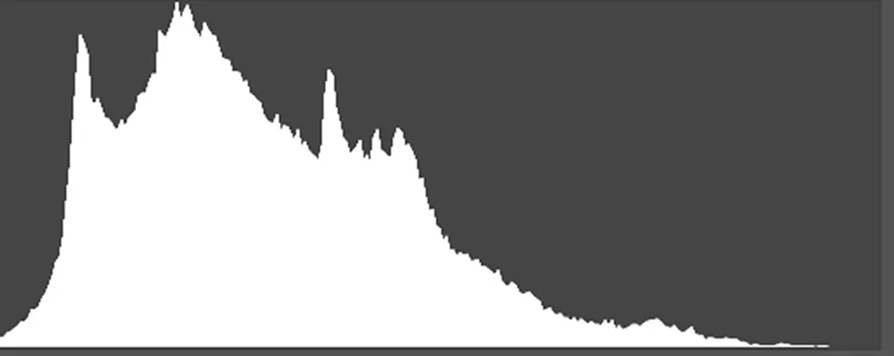 SimpleHistogram-1.jpg