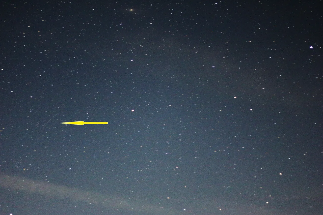 perseid meteor2.jpg
