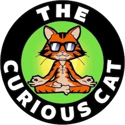 TheCuriousCat 2.jpg