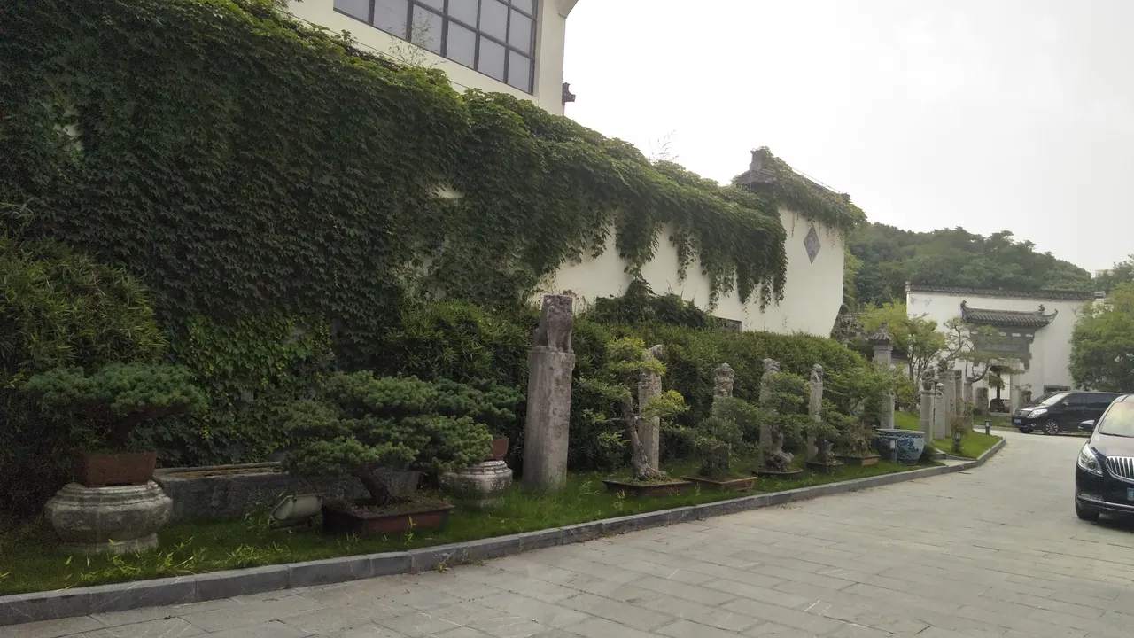 IMG205707.jpg