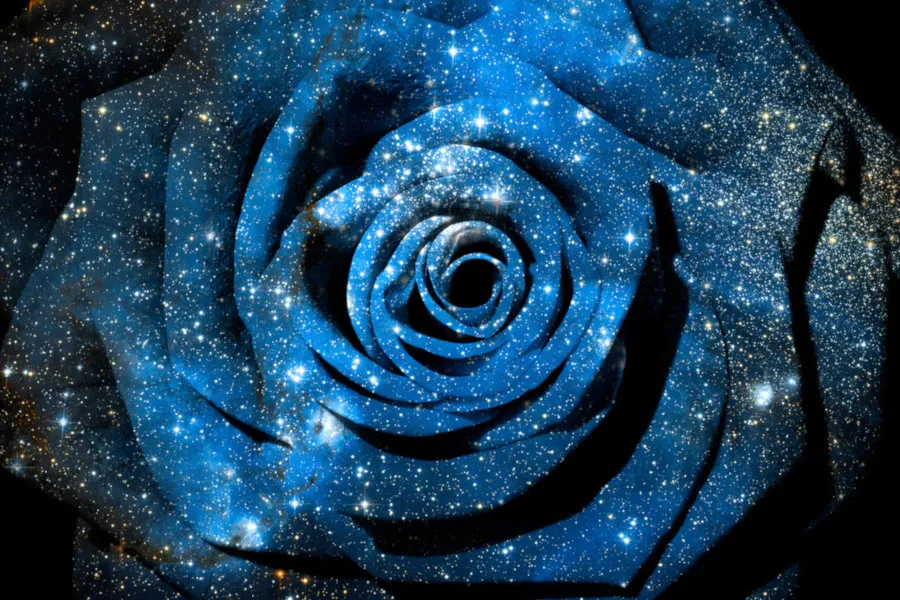 cosmic_rose_small.jpg