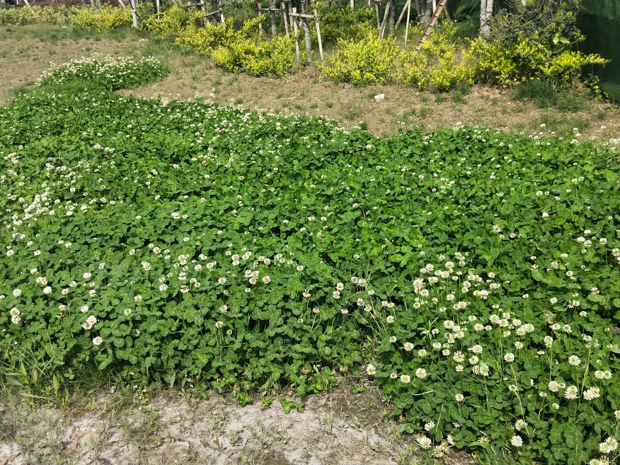 IMG20190418085446.jpg