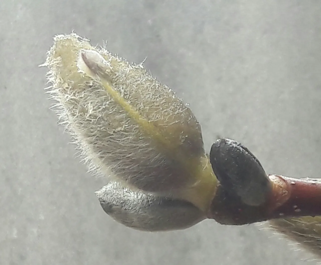 20190407_093256-1.jpg