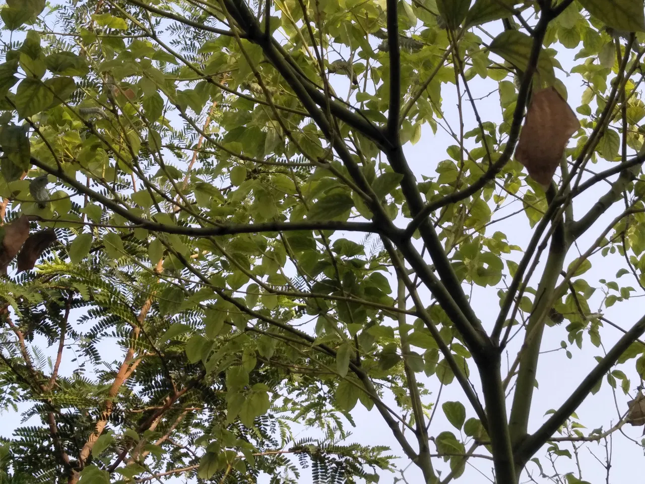 IMG20180822170812.jpg