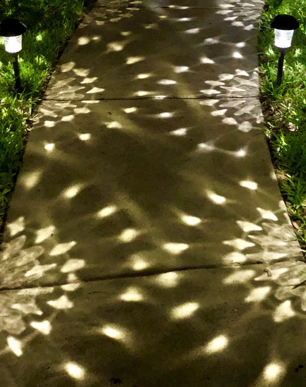 solarlights (2).jpg