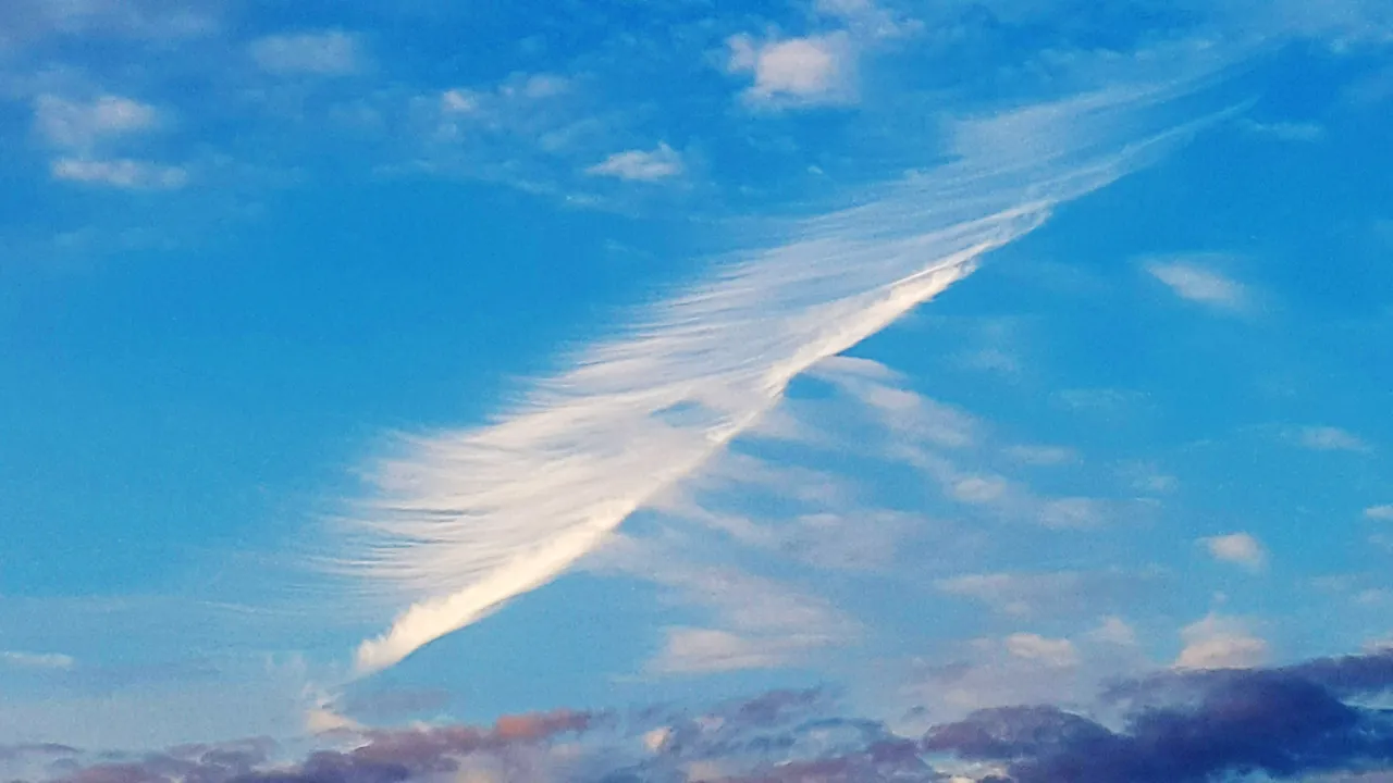 20171004_175113-3.jpg