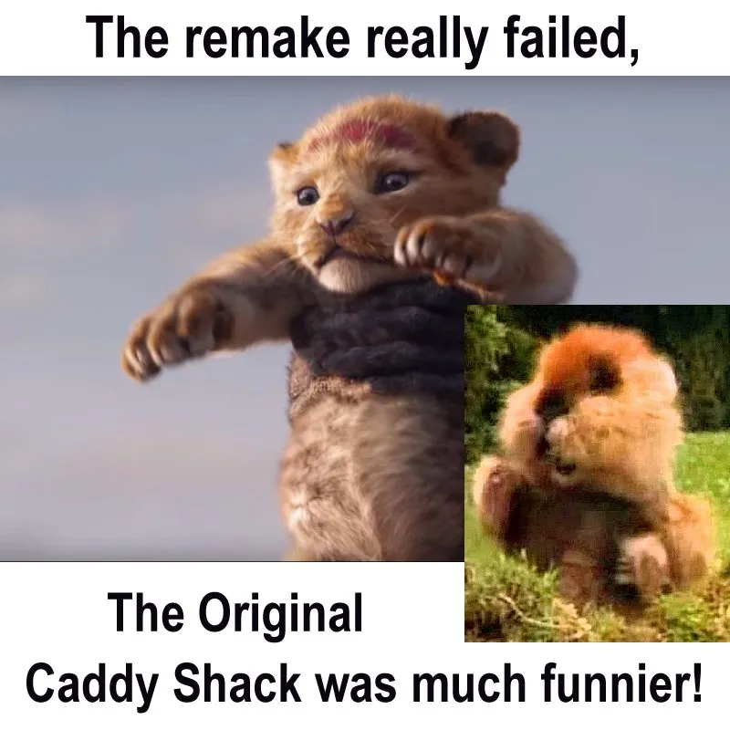 simba_caddy_shack.jpg