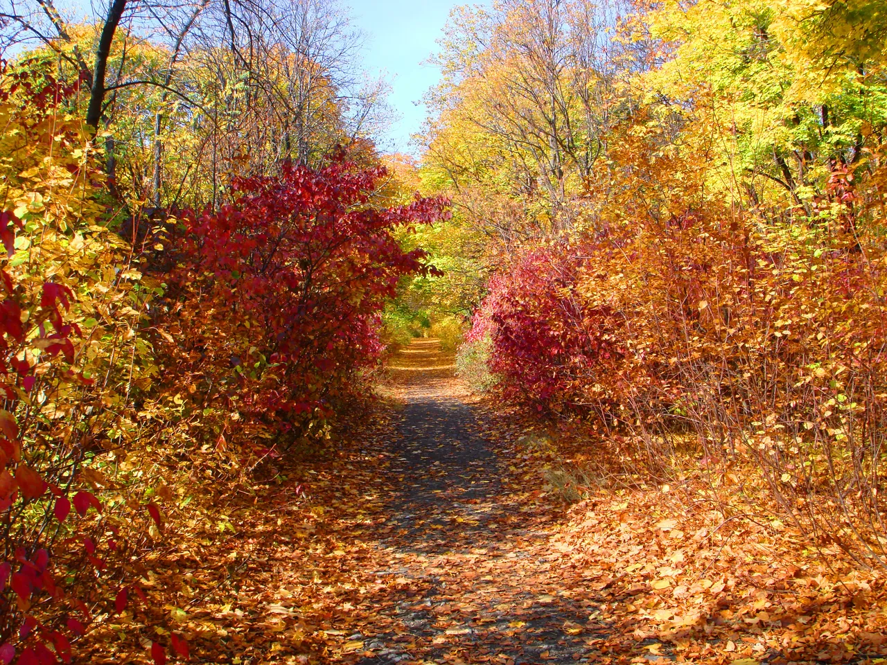 DSC01705-33333333.jpg