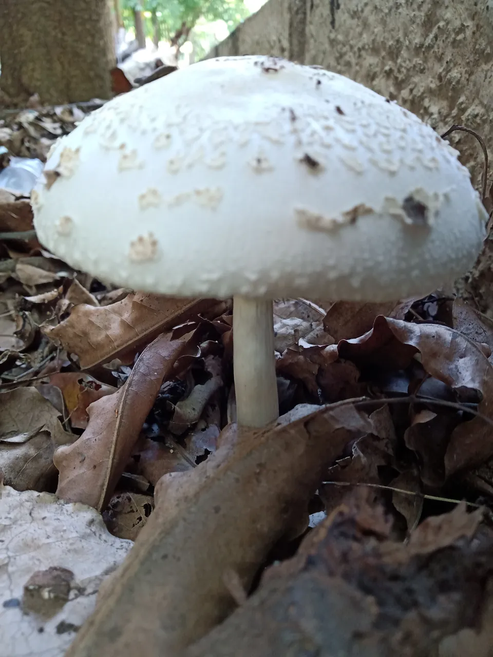IMG20190930130545.jpg