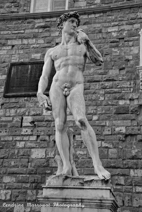 Florence 9 scaled.jpg