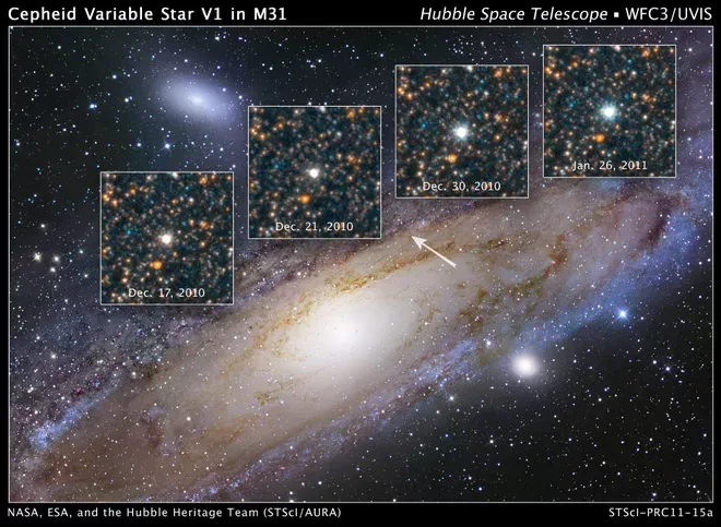 cepheid variable.webp