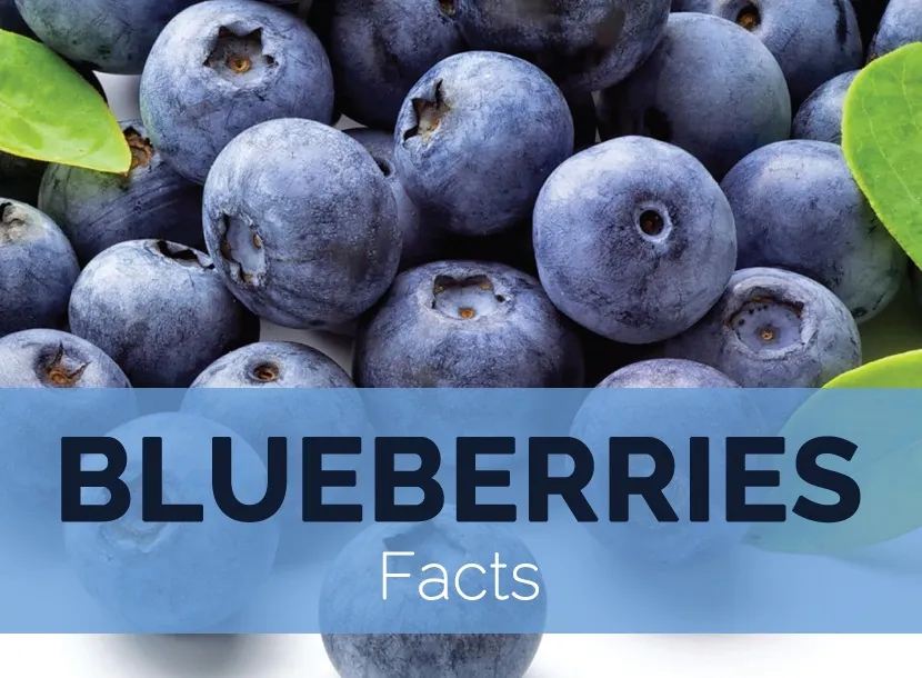 Blueberries-facts.jpg