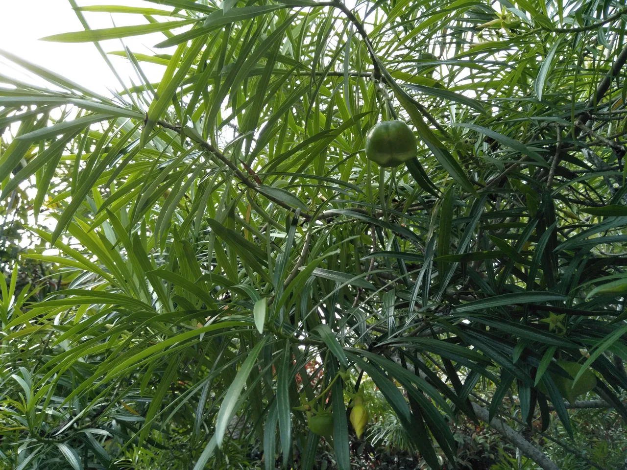 IMG20191019161203.jpg