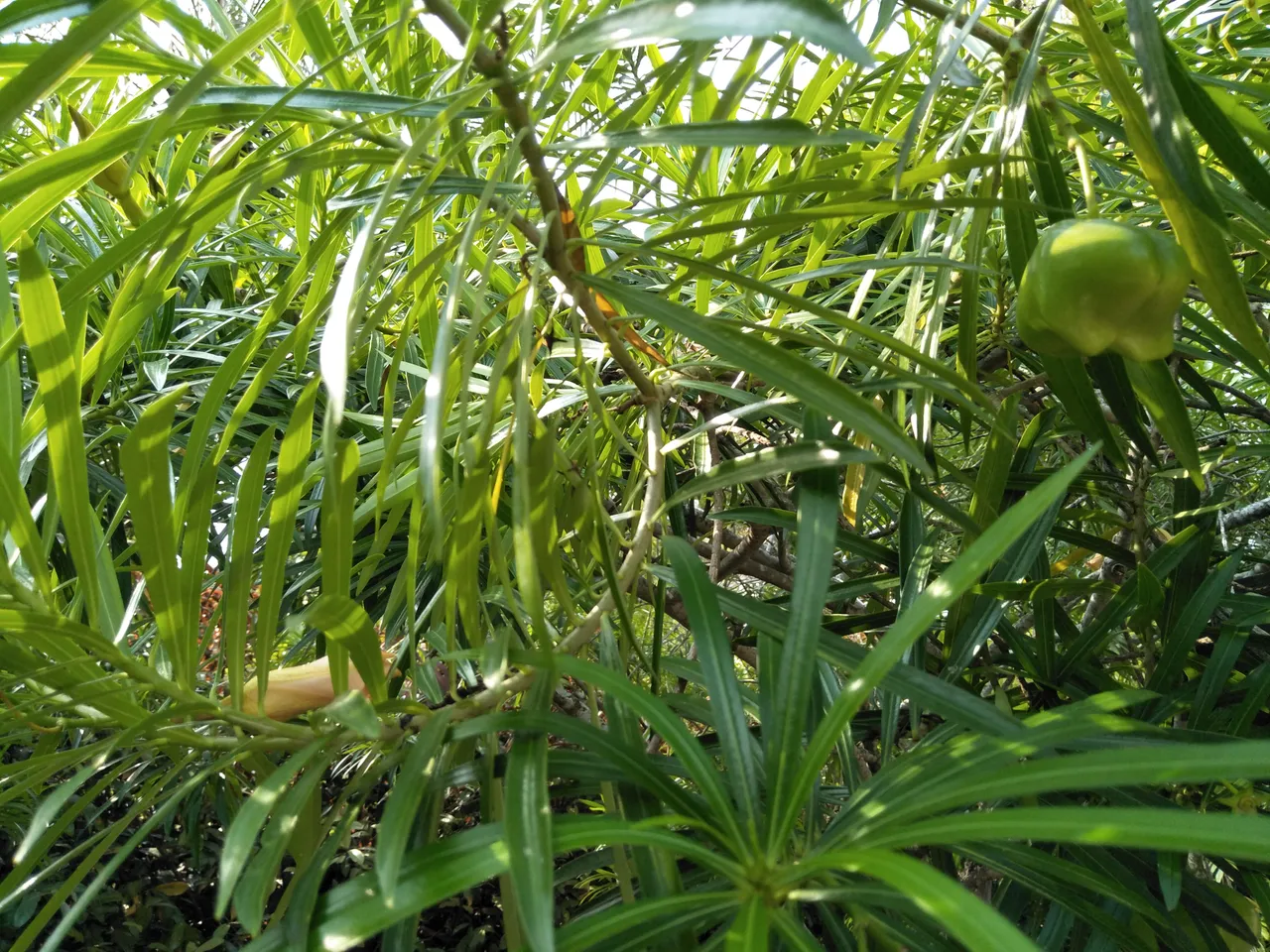 IMG20191019161246.jpg