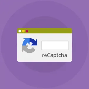 recaptcha-300x300.png