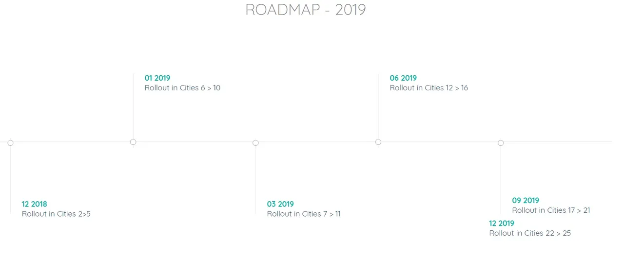 roadmap flycare.jpg