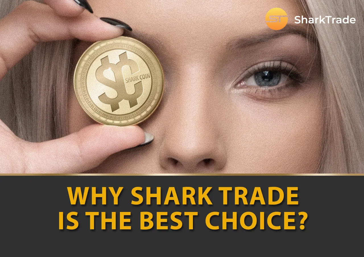 _ST_Shark_Coin_En.png