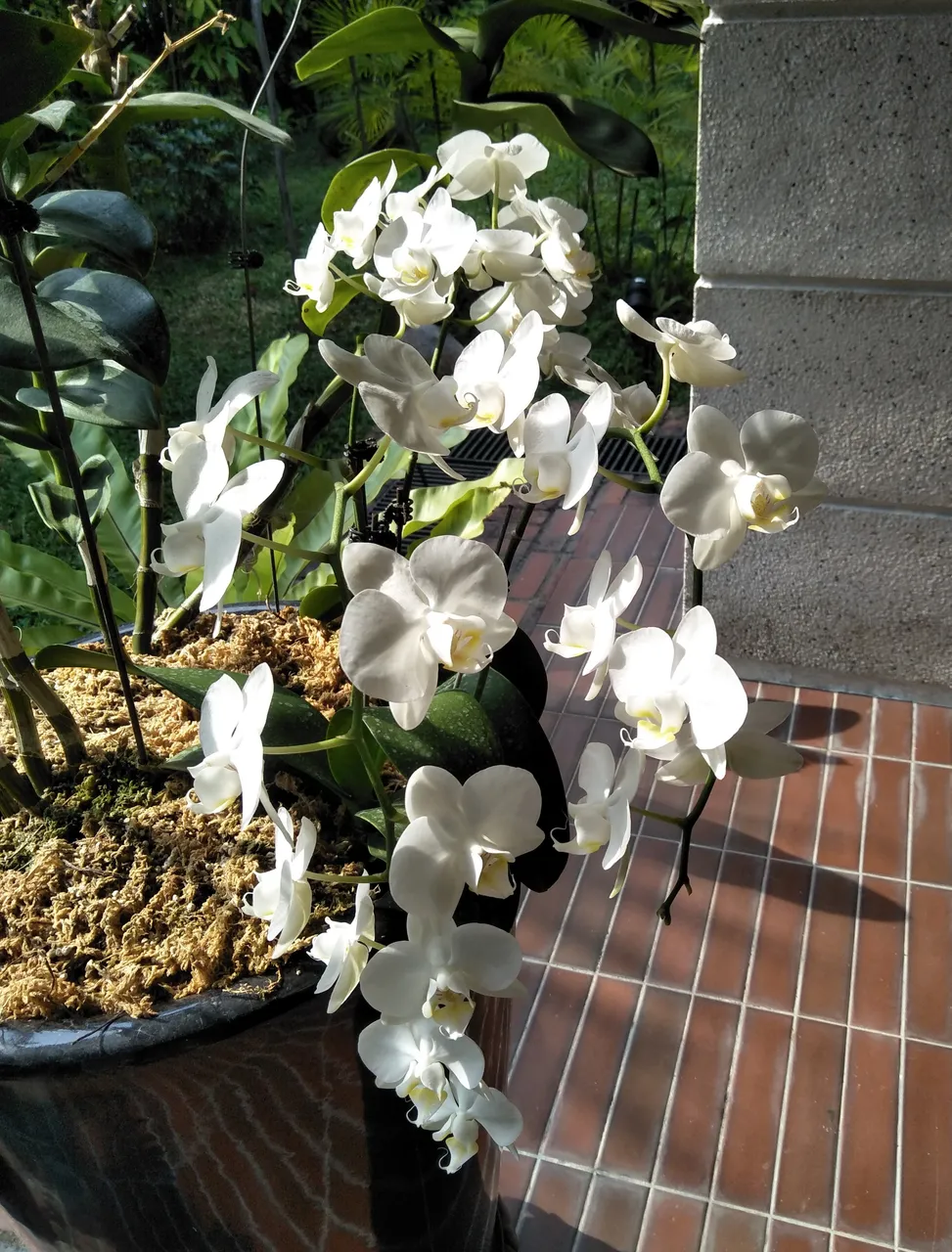 IMG20191019160919.jpg