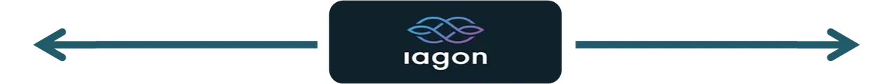 Separador iagon.png