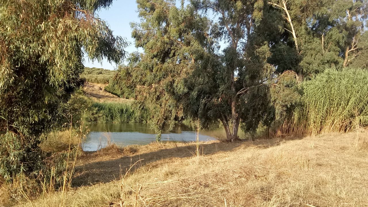 IMG20180823190015.jpg