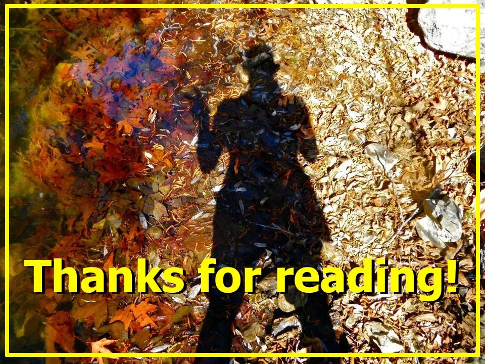 matilija thanks.jpg