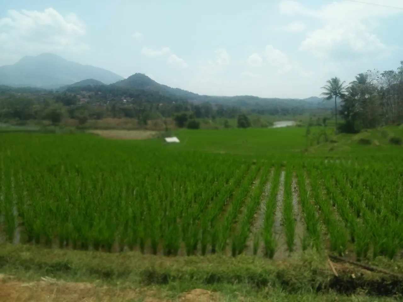 IMG20190824114606.jpg
