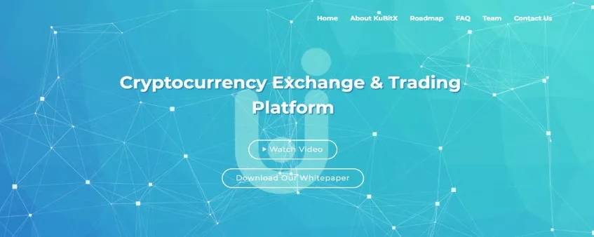 platform kubitx.jpg