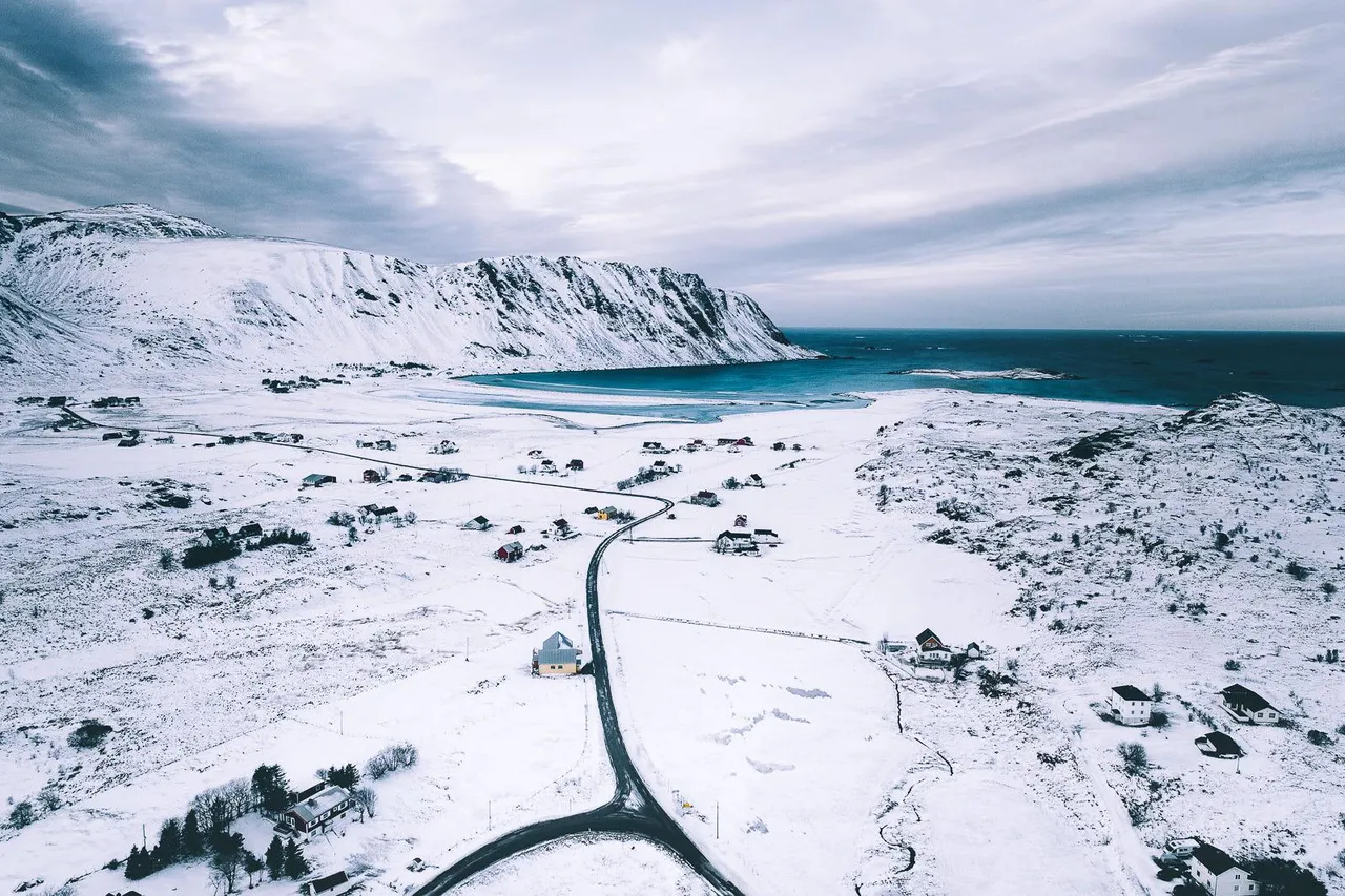 Arctic Whiteout.jpg