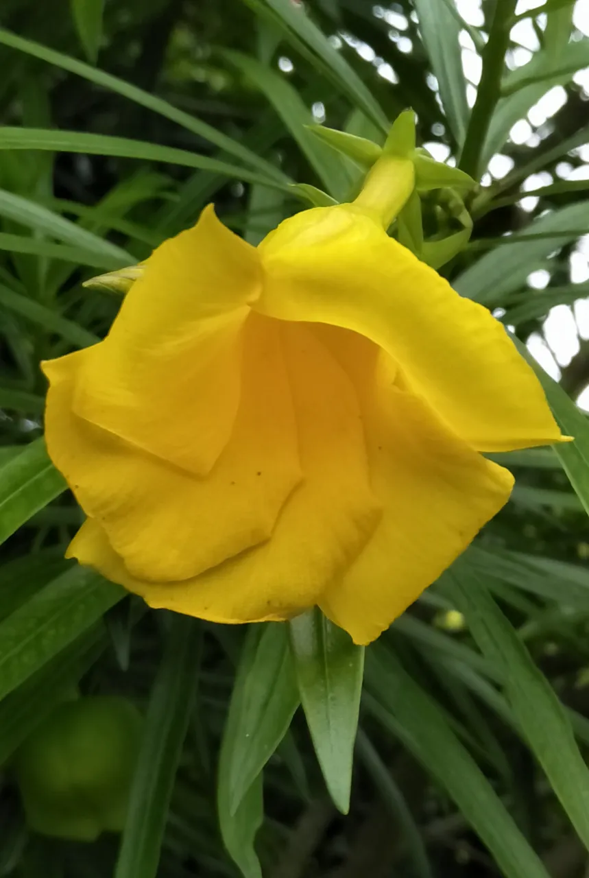 IMG20191019165122.jpg