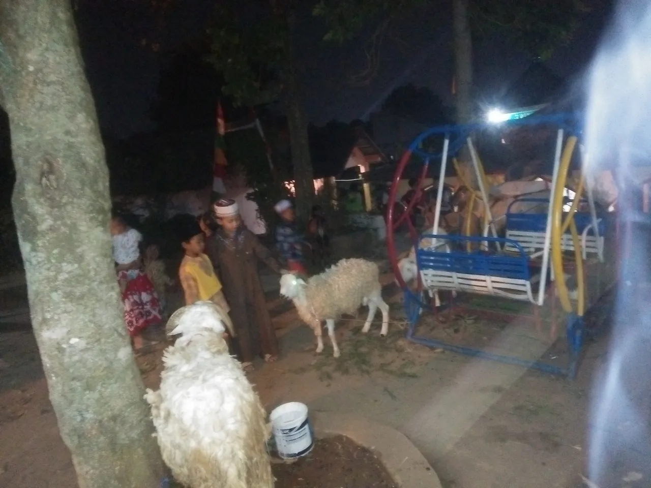 IMG20190810202354.jpg