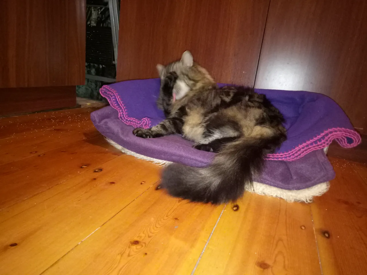 IMG20170905024126.jpg