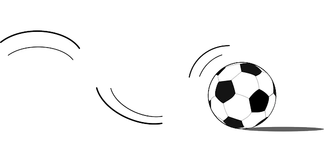 soccer-146218_640.png