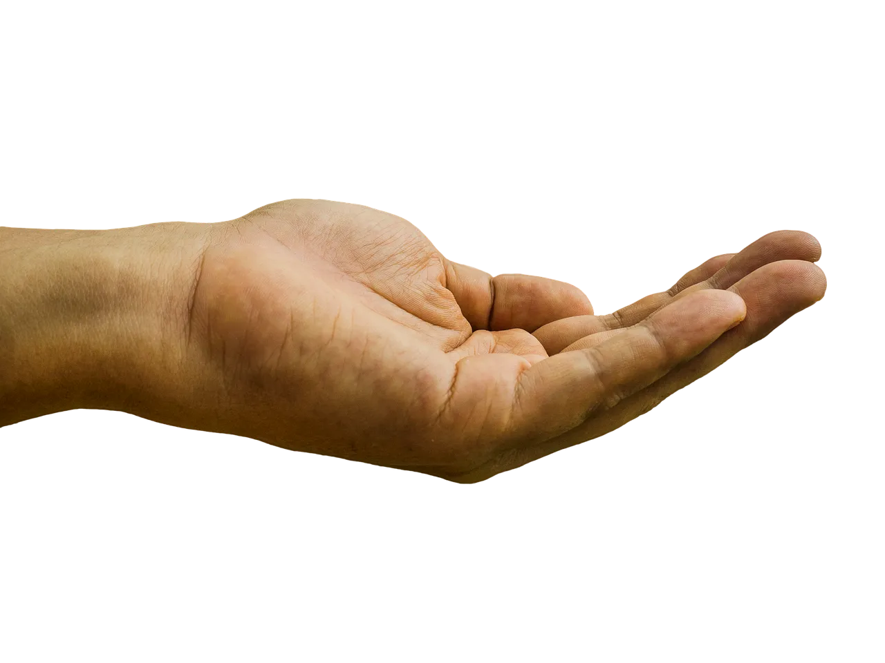 hand-1921036_1280.png