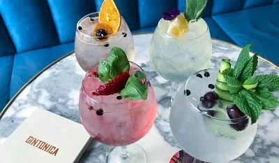 pretty-gin-tonics.jpg