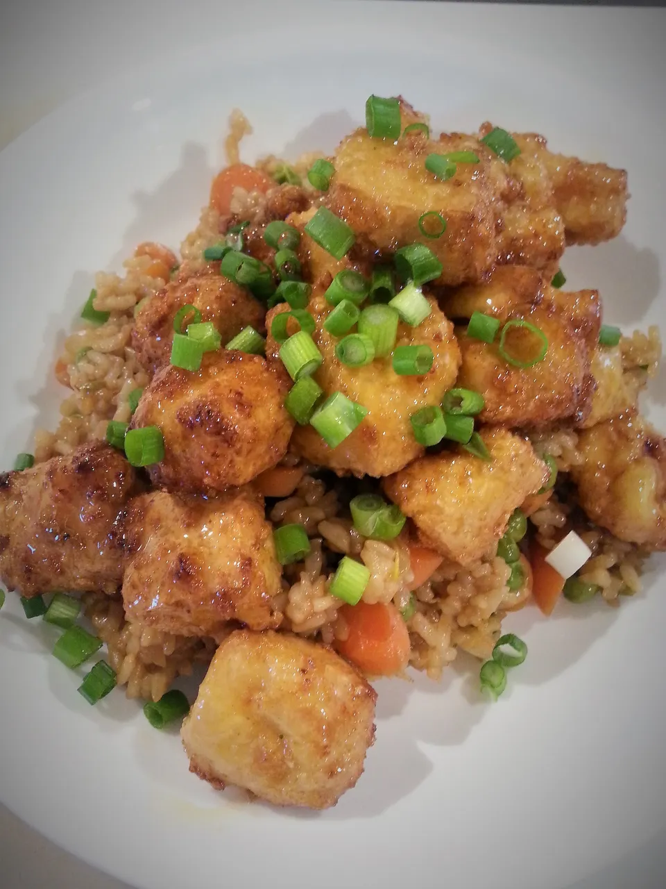 orange chicken2.jpg